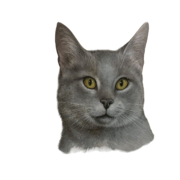 Cat Kittens Kitties 5 Trinket Trays Royal Adderley Bone China Made in England - Picture 7 of 8